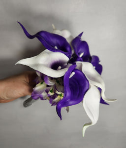 Purple Ivory White Calla Lily