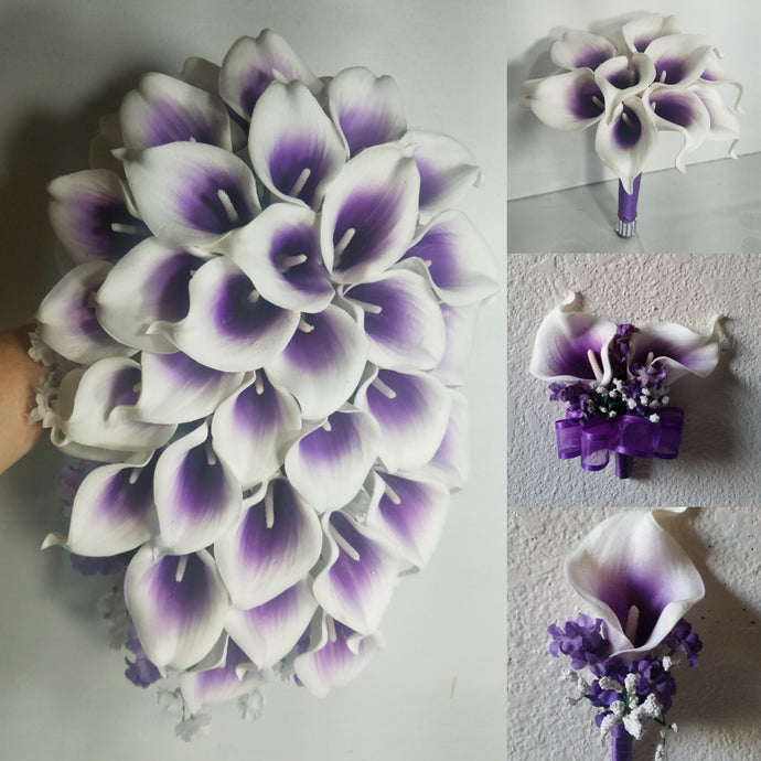 Purple White Calla Lily